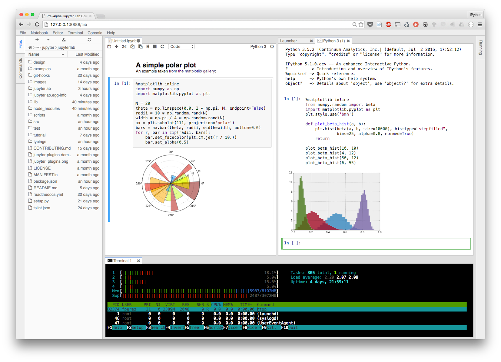 Jupyter Lab with Markdown and Terminal